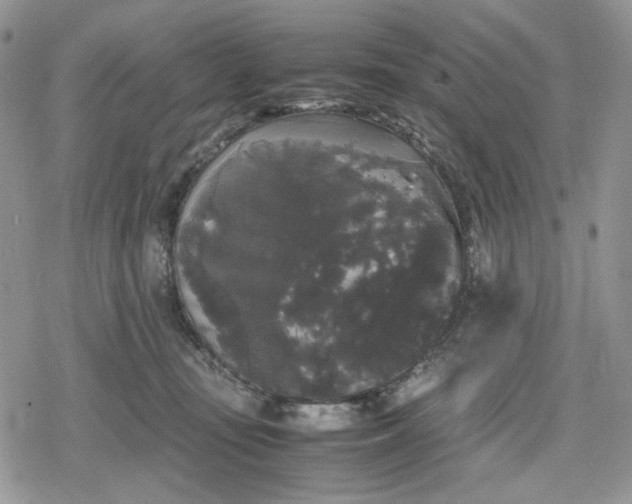 X0000078840371200611271328