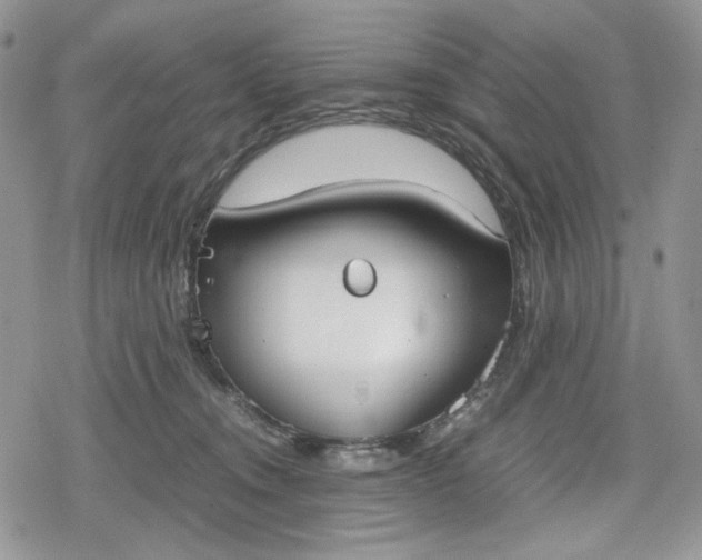 X0000078840372200611271328