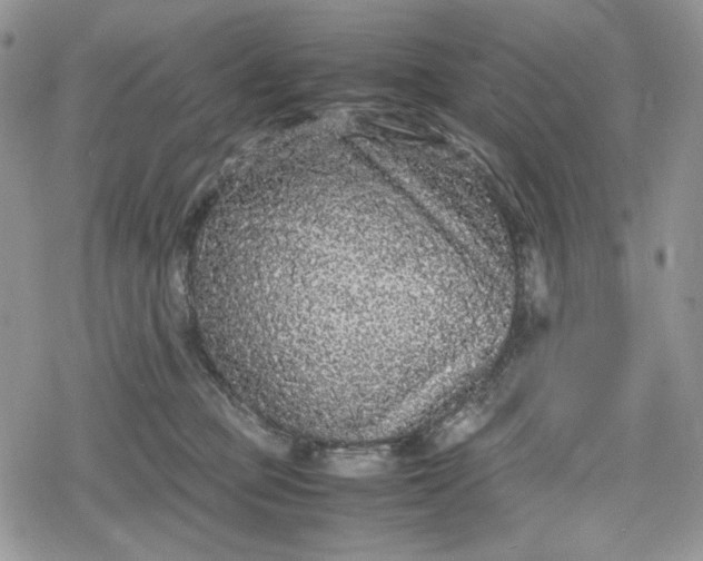 X0000078840373200611271328