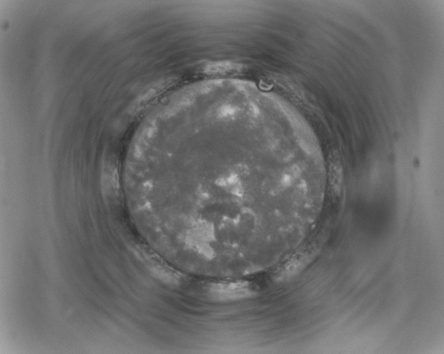 X0000078840375200611271328