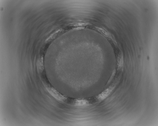 X0000078840376200611271328