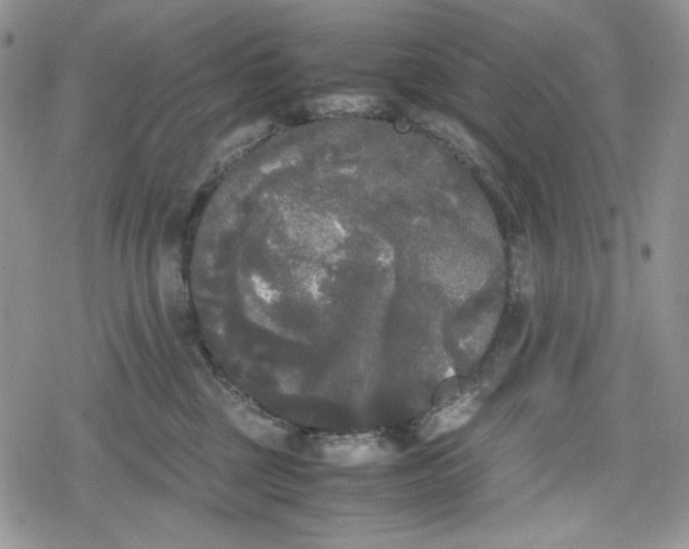 X0000078840377200611271328