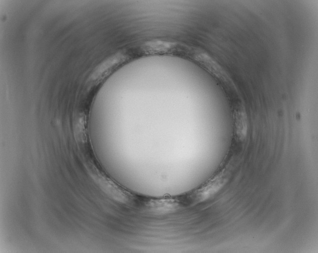 X0000078840378200611271328