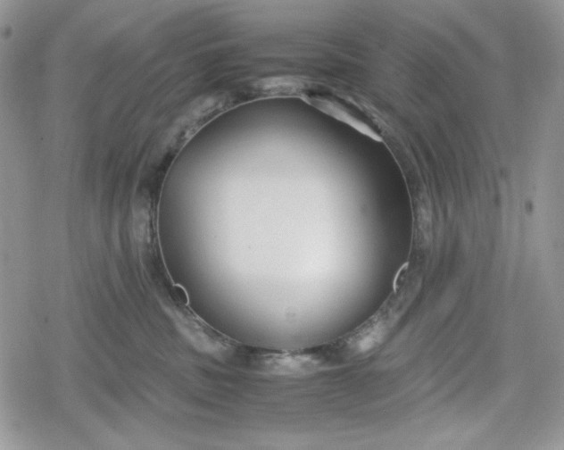 X0000078840379200611271328