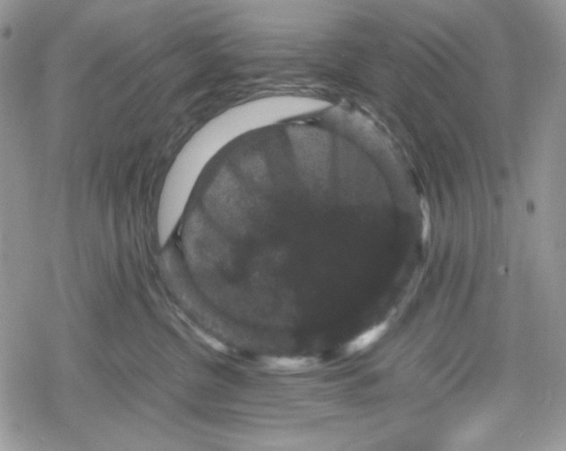 X0000078840380200611271328