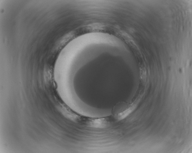 X0000078840382200611271328