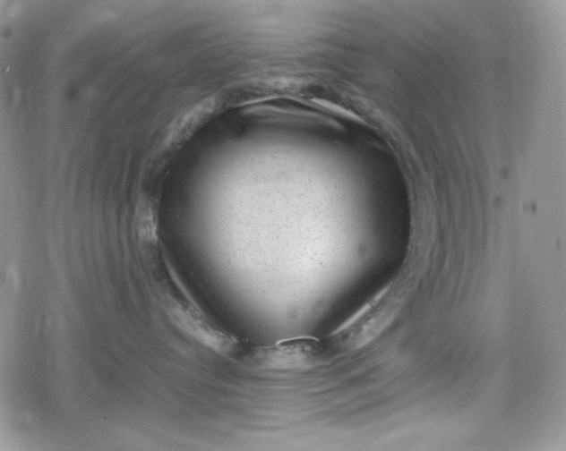 X0000078840384200611271328