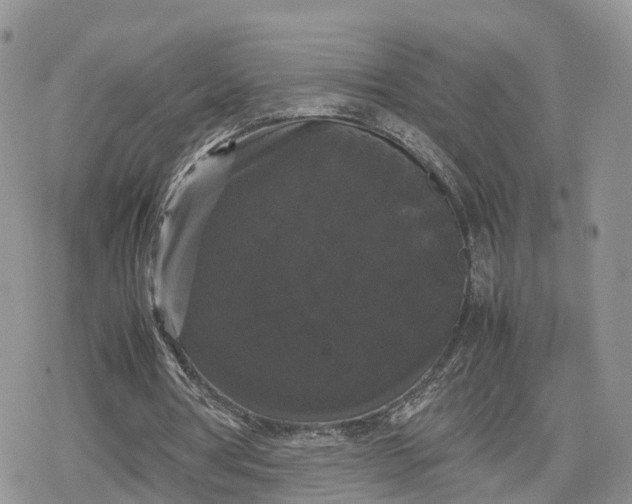 X0000078840386200611271327