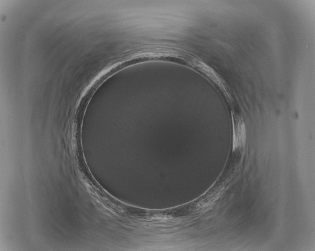 X0000078840387200611271327