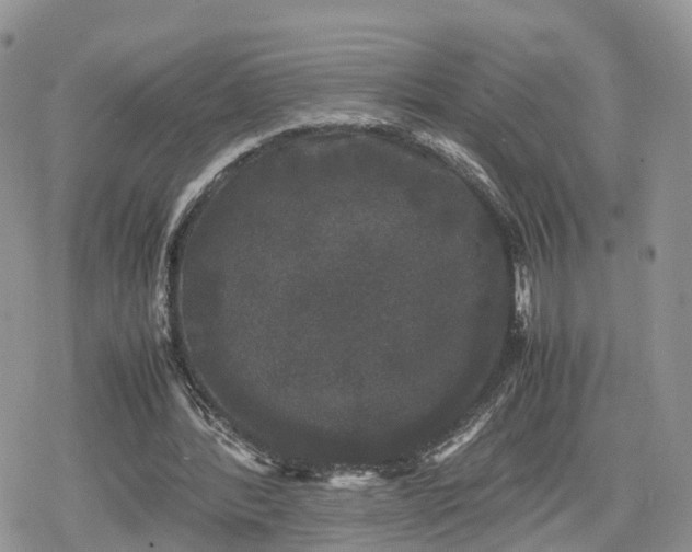 X0000078840388200611271327