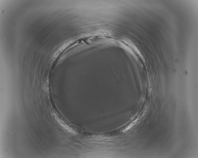 X0000078840389200611271327