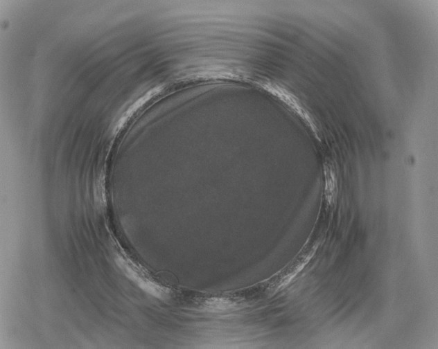 X0000078840390200611271327