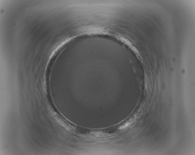 X0000078840391200611271327