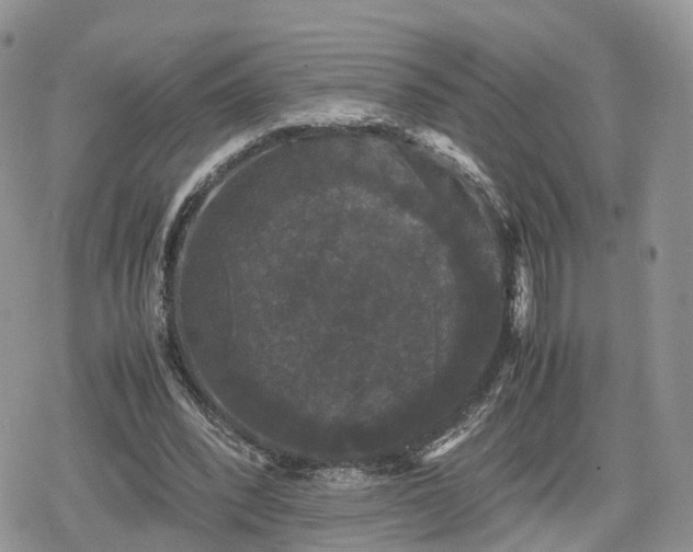 X0000078840392200611271327