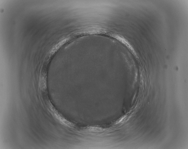 X0000078840393200611271327