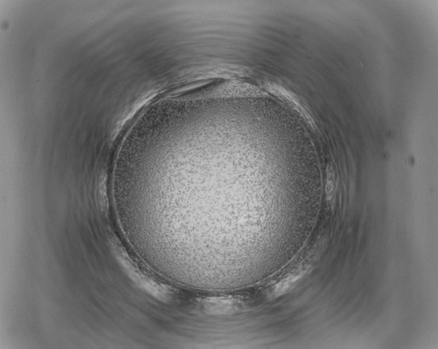 X0000078840394200611271327