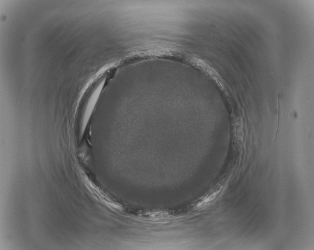 X0000078840395200611271327