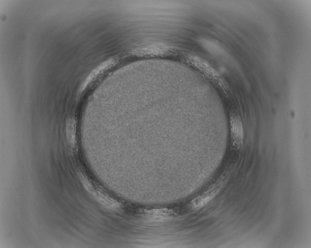 X0000078840396200611271327