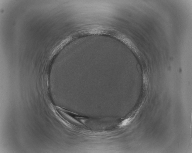 X0000078840397200611271327