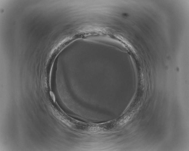 X0000078840399200611271327