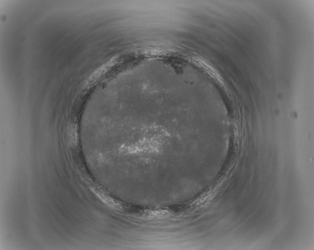 X0000078840401200611271327