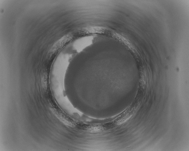 X0000078840402200611271327