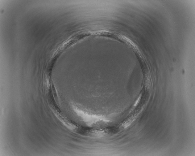 X0000078840405200611271327