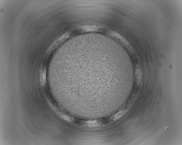 X0000078840406200611271327