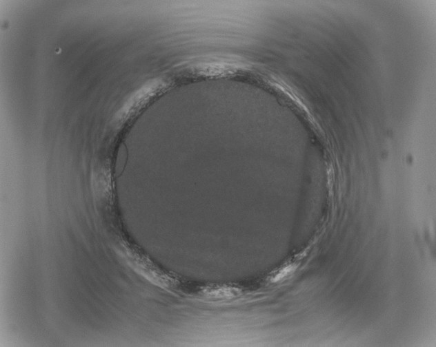 X0000078840407200611271327