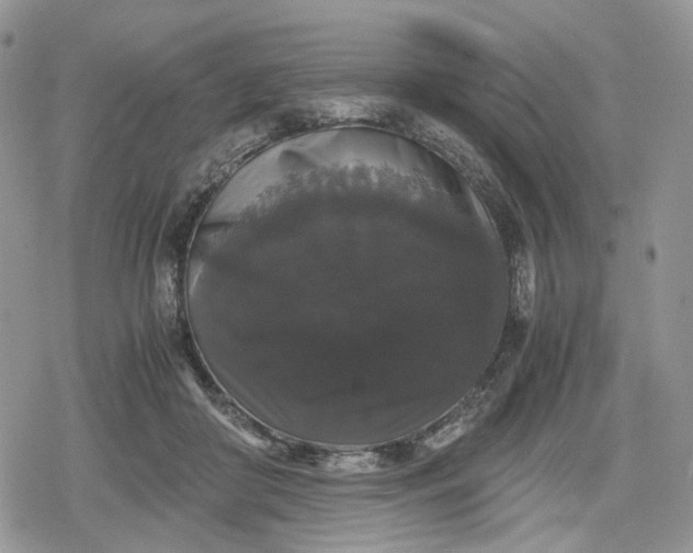 X0000078840410200611271327