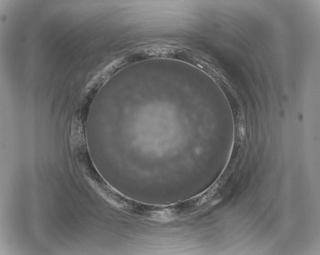 X0000078840411200611271327