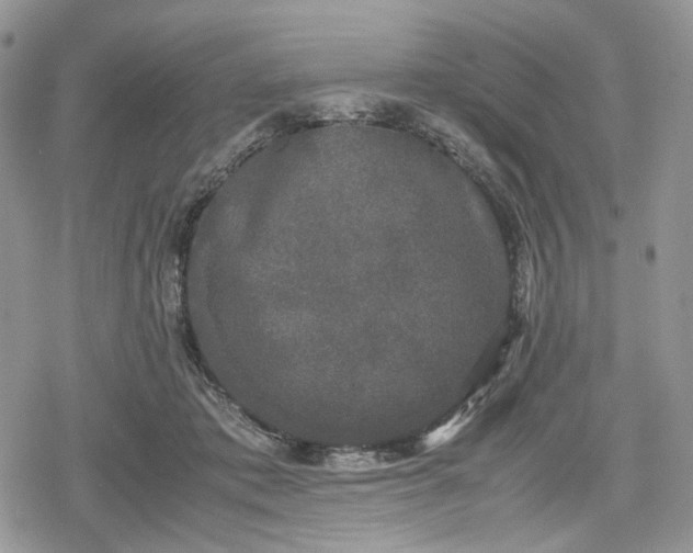 X0000078840413200611271327