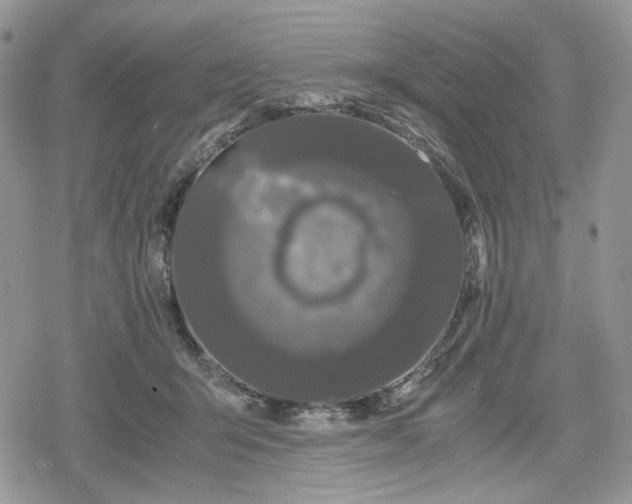 X0000078840415200611271327