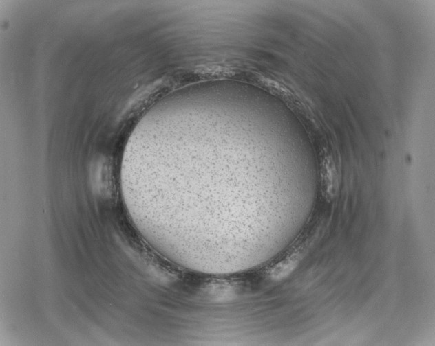 X0000078840416200611271327