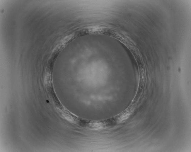 X0000078840419200611271327