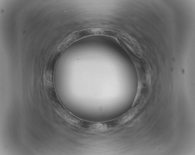 X0000078840421200611271327