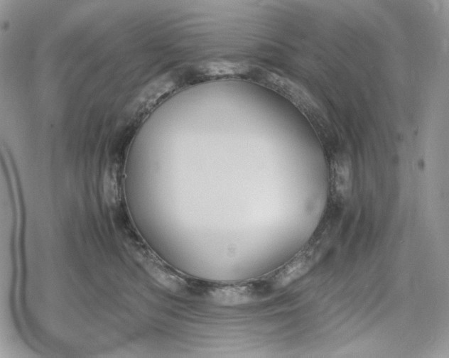 X0000078840422200611271327