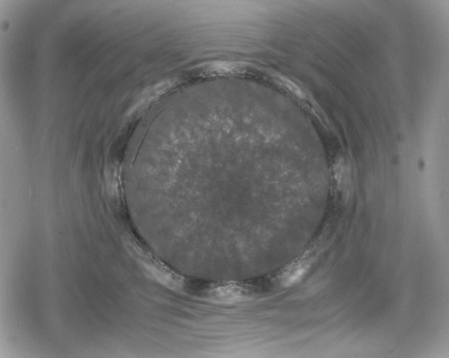 X0000078840423200611271327