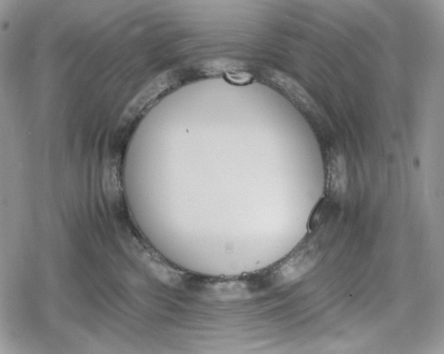 X0000078840426200611271327