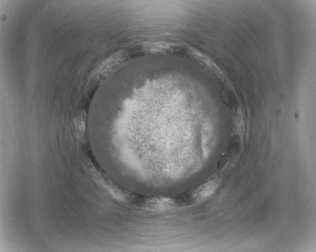 X0000078840427200611271327