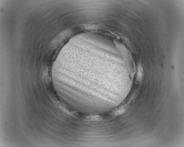 X0000078840428200611271327