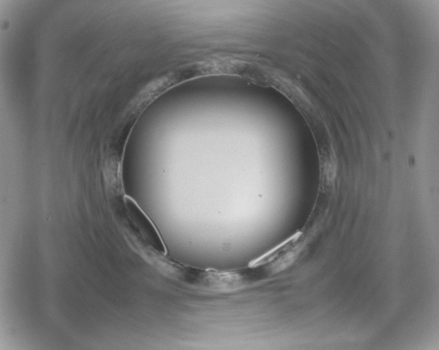 X0000078840429200611271327