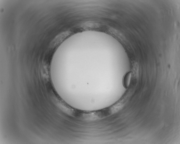 X0000078840430200611271326