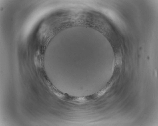 X0000078840431200611271326