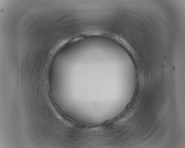 X0000078840433200611271326