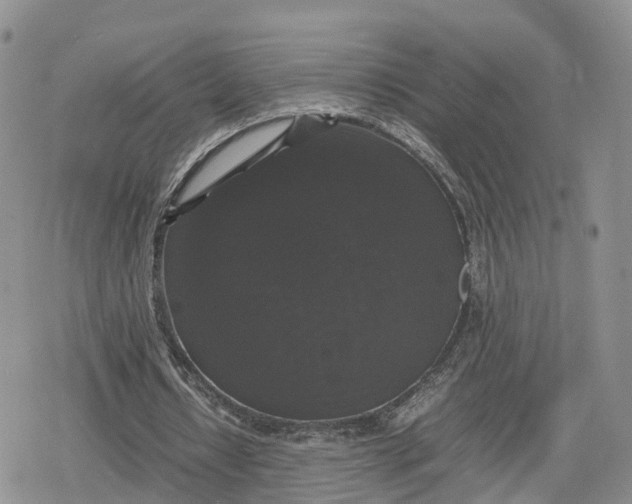 X0000078840434200611271326