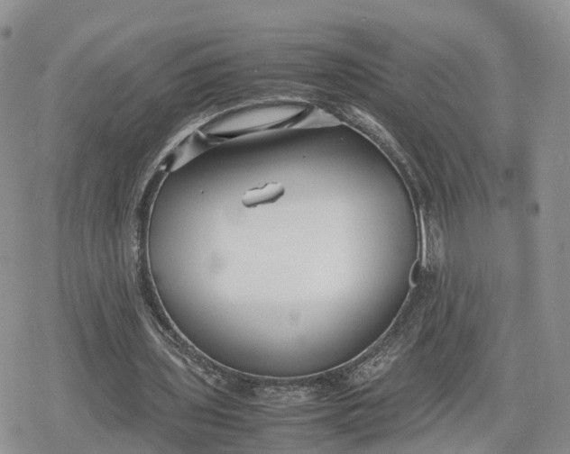 X0000078840435200611271326