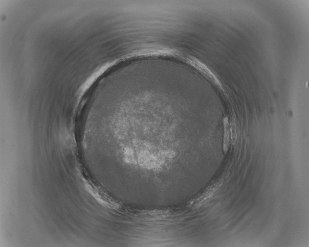 X0000078840436200611271326