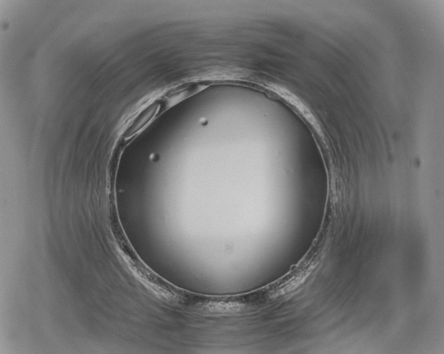 X0000078840437200611271326