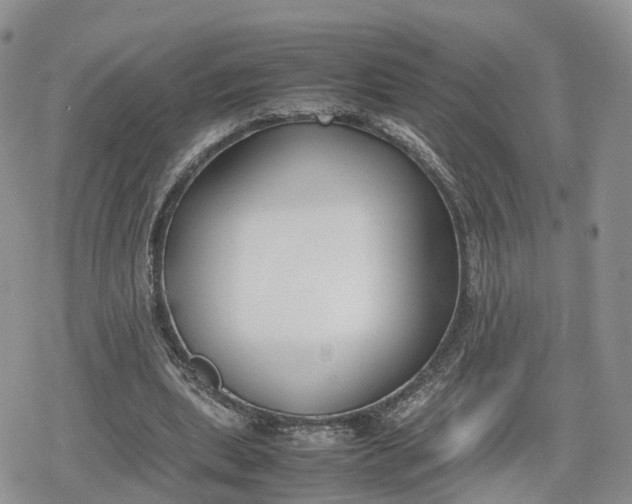 X0000078840439200611271326